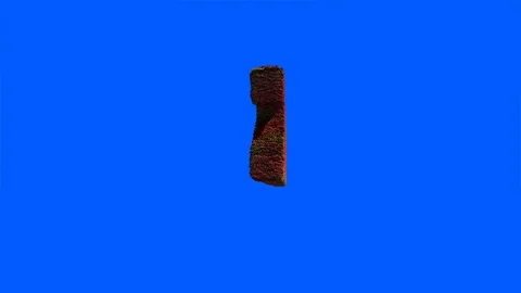 2020 New Year text made from leaves with wind blowing panning against blue sc Video stock 118578934