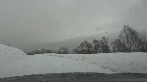 20200202 C0048 Stock Footage 262903763