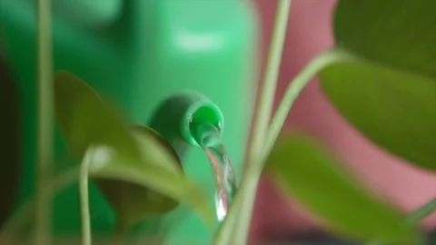 20200401 Haushold 05 Stock Footage 127500541