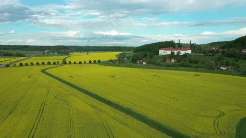 20200502 DRONE rapeseed fields with castle background 01 Stockbeeldmateriaal 131134054
