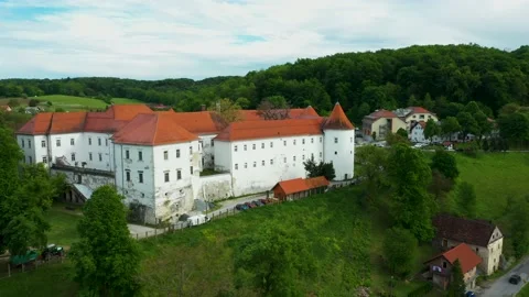 20200502 DRONE rapeseed fields with castle background 02 3 Stockbeeldmateriaal 131362989