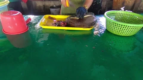 2020.06.01 Cleaning live catfish inside a wet market Stock Footage 136495417