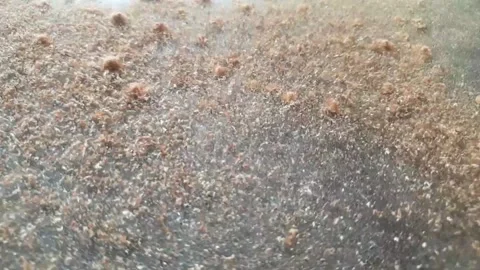 2020.0915 Dancing sawdust 2 Stock Footage 139622225