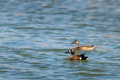 20201231000037a Foto stock