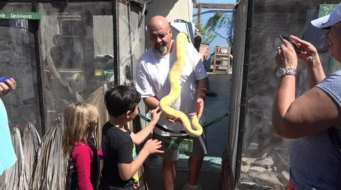 2020:CABO SAN LUCAS MEXICO.Large Python Is Shown To The Kids At The Zoo Stock Photos