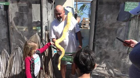 2020:CABO SAN LUCAS MEXICO.Large Python Is Shown To The Kids At The Zoo Foto stock