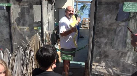 2020:CABO SAN LUCAS MEXICO.Large Python Is Shown To The Kids At The Zoo 写真素材