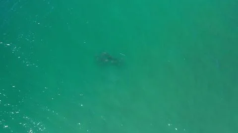 2020:LOS CABOS MEXICO.An Unknown Object Is Floating In The Sparkling Green Water 스톡 사진