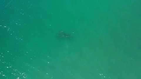 2020:LOS CABOS MEXICO.An Unknown Object Is Floating In The Sparkling Green Water 写真素材