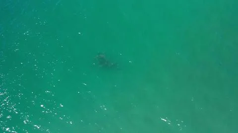 2020:LOS CABOS MEXICO.An Unknown Object Is Floating In The Sparkling Green Water 写真素材