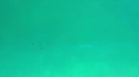 2020:LOS CABOS MEXICO.Three Dark Objects In Calm Blue Green Ocean Water Moving Stock Photos