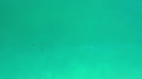 2020:LOS CABOS MEXICO.Three Dark Objects In Calm Blue Green Ocean Water Moving Stock Photos