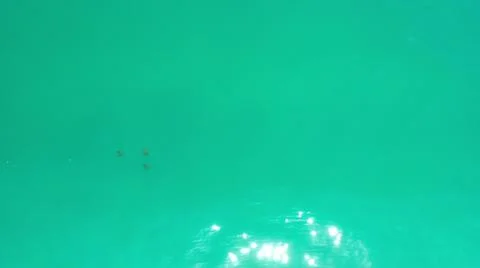 2020:LOS CABOS MEXICO.Three Dark Objects In Calm Blue Green Ocean Water Moving Foto stock