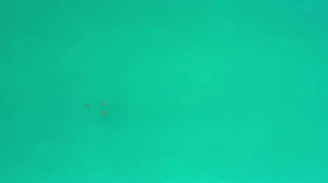 2020:LOS CABOS MEXICO.Three Dark Objects In Calm Blue Green Ocean Water Moving Foto stock