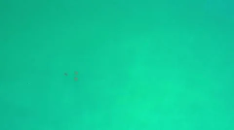 2020:LOS CABOS MEXICO.Three Dark Objects In Calm Blue Green Ocean Water Moving Foto stock
