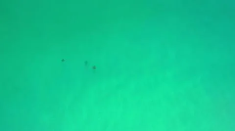 2020:LOS CABOS MEXICO.Three Objects Floating On Blue Green Water 写真素材