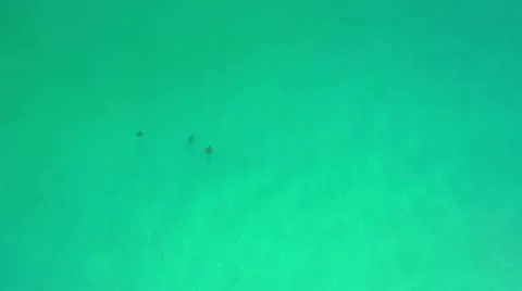 2020:LOS CABOS MEXICO.Three Objects Floating On Blue Green Water Foto stock