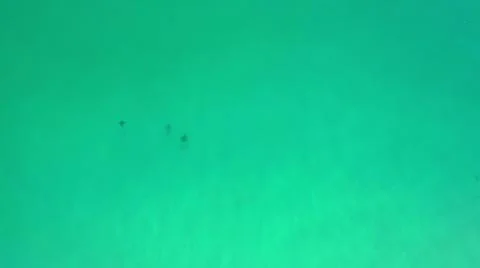 2020:LOS CABOS MEXICO.Three Objects Floating On Blue Green Water Foto stock