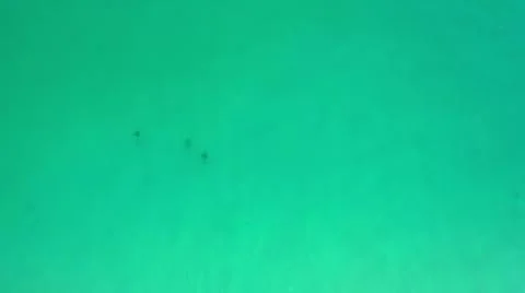 2020:LOS CABOS MEXICO.Three Objects Floating On Blue Green Water Stock Photos
