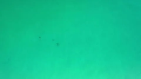 2020:LOS CABOS MEXICO.Three Objects Floating On Blue Green Water Stock Photos