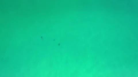 2020:LOS CABOS MEXICO.Three Objects Floating On Blue Green Water Stock Photos