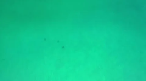 2020:LOS CABOS MEXICO.Three Objects Floating On Blue Green Water Stock Photos