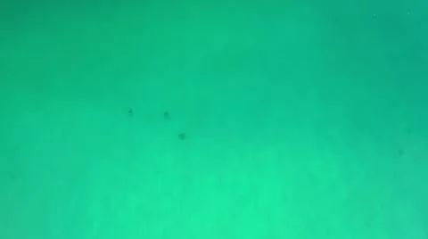 2020:LOS CABOS MEXICO.Three Objects Floating On Blue Green Water Foto stock