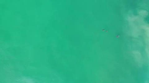 2020:LOS CABOS MEXICO.Three Objects That Look Like Some Sort Of Animal Flying Stockfoto's