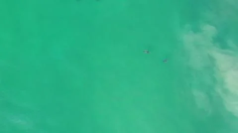 2020:LOS CABOS MEXICO.Three Objects That Look Like Some Sort Of Animal Flying Stock Photos
