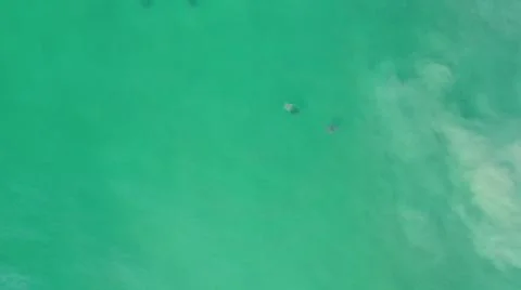 2020:LOS CABOS MEXICO.Three Objects That Look Like Some Sort Of Animal Flying Foto stock
