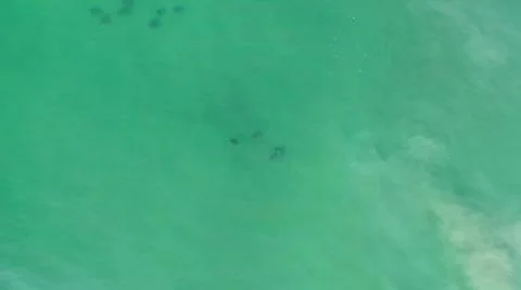 2020:LOS CABOS MEXICO.Three Objects That Look Like Some Sort Of Animal Flying Foto stock