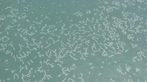 2020:LOS CABOS MEXICO.White Objects Create Pattern In The Calm Blue Ocean Waves Stock Photos