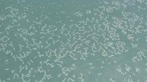 2020:LOS CABOS MEXICO.White Objects Create Pattern In The Calm Blue Ocean Waves Stock Photos