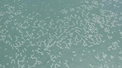 2020:LOS CABOS MEXICO.White Objects Create Pattern In The Calm Blue Ocean Waves Stock Photos