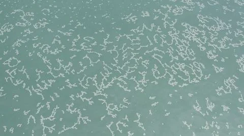 2020:LOS CABOS MEXICO.White Objects Create Pattern In The Calm Blue Ocean Waves 스톡 사진