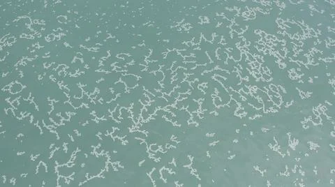 2020:LOS CABOS MEXICO.White Objects Create Pattern In The Calm Blue Ocean Waves Stock Photos