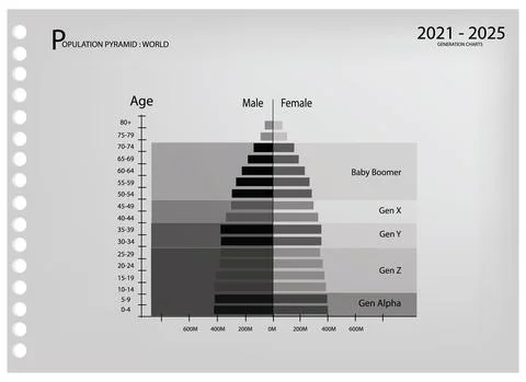 2021-2025 Population Pyramids Graphs with 5 Generation Stock Illustration