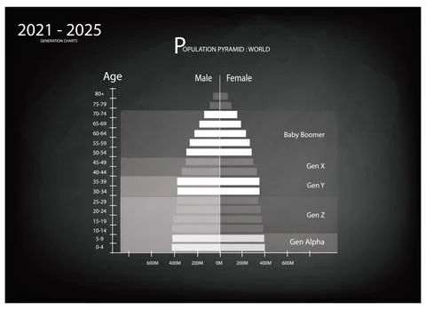 2021-2025 Population Pyramids Graphs with 5 Generation Stock Illustration
