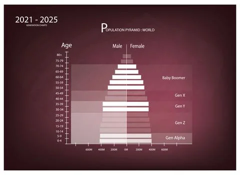 2021-2025 Population Pyramids Graphs with 5 Generation Stock Illustration