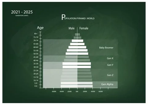 2021-2025 Population Pyramids Graphs with 5 Generation Stock Illustration