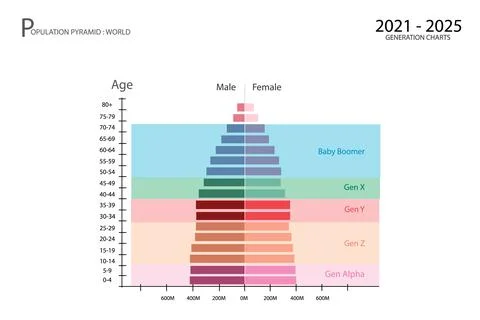2021-2025 Population Pyramids Graphs with 5 Generation Stock Illustration