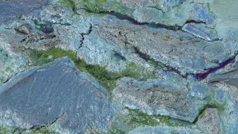 2021 - Algae mats float on a pond in Florida. Stockbeeldmateriaal 155751640