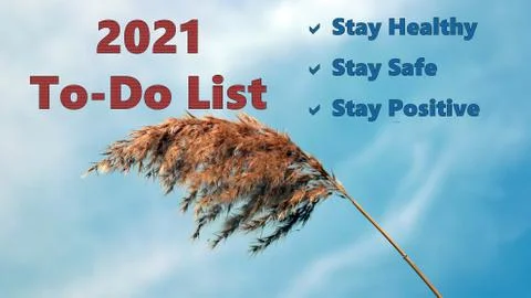 2021 To Do List with single reed grass shaking under blue sky, wishing a healthy Stock Photos