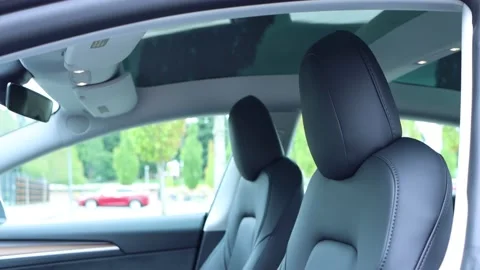 2021 Tesla Model 3 - Front Seats Stock Footage 164576406