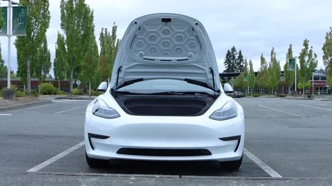 2021 Tesla Model 3 - Frunk Stock Footage 164576355