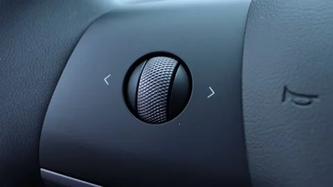 2021 Tesla Model 3 - Scroll Wheel Stock Footage 164576403
