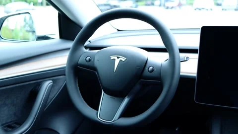 2021 Tesla Model 3 - Steering Wheel Stock Footage 164576357