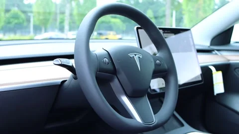 2021 Tesla Model 3 - Steering Wheel Stock Footage 164576478
