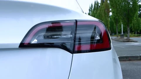 2021 Tesla Model 3 - Taillight Stock Footage 164507326