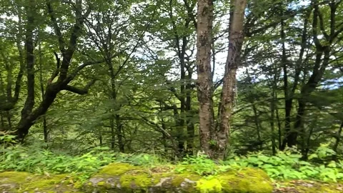 20210906 140427 Stock Footage 163669122
